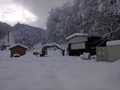 Monna_dell_orso_24_11_2013_la_neve_insiste___.jpg