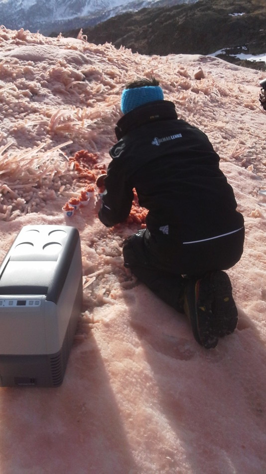 Rosa Pisten am Schnalstaler Gletscher